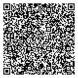 vCard 78127404087