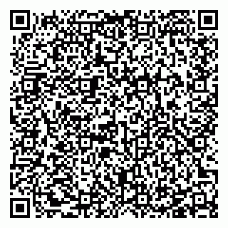 vCard 78127404093