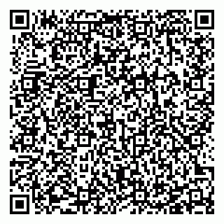vCard 78127404099