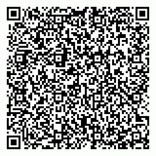 vCard 78127404100