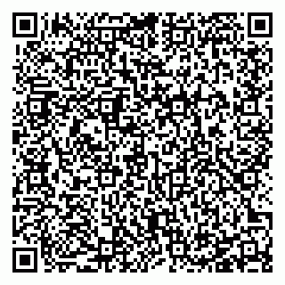 vCard 78127404101