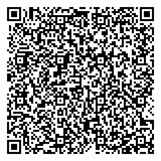 vCard 78127404104