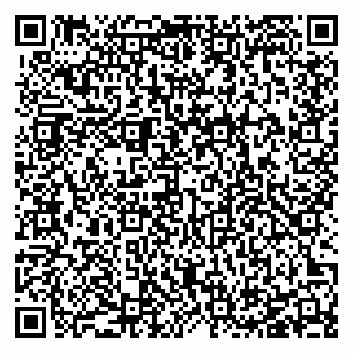 vCard 78127404113