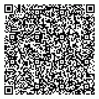 vCard 78127404118