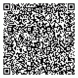 vCard 78127404119