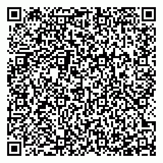 vCard 78127404125