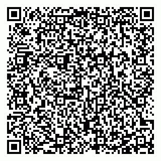 vCard 78127404129