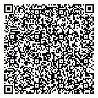 vCard 78127404130