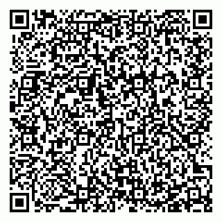vCard 78127404131