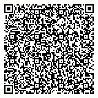 vCard 78127404133