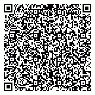 vCard 78127404135