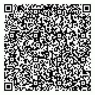vCard 78127404138