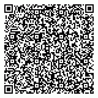 vCard 78127404153