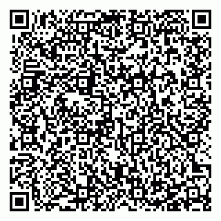 vCard 78127404160