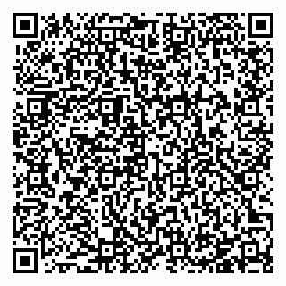 vCard 78127404163