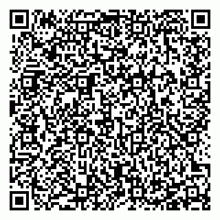 vCard 78127404199