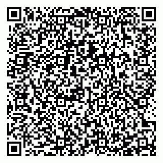 vCard 78127404208