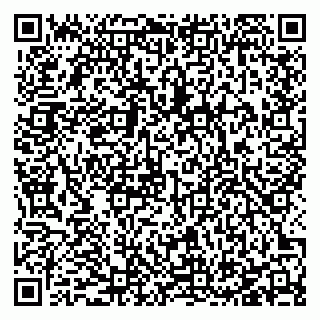 vCard 78127404285