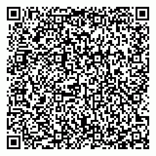 vCard 78127404287