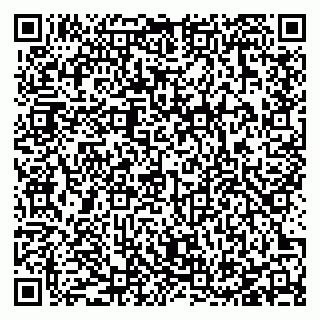 vCard 78127404288