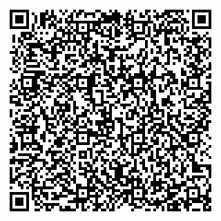 vCard 78127404291