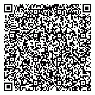 vCard 78127404313