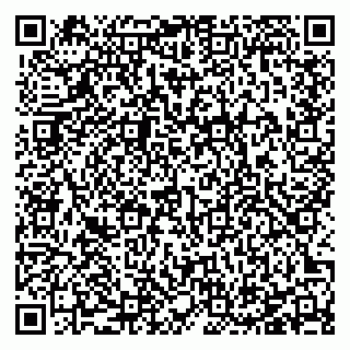 vCard 78127404317