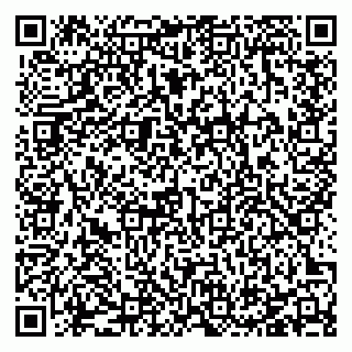 vCard 78127404319