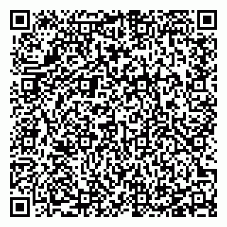 vCard 78127404323