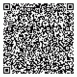 vCard 78127404331