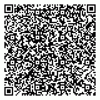 vCard 78127404352