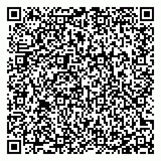 vCard 78127404373