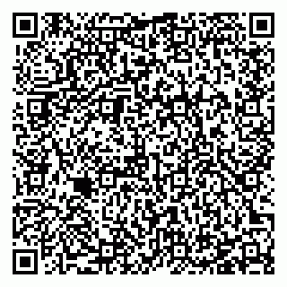 vCard 78127404383