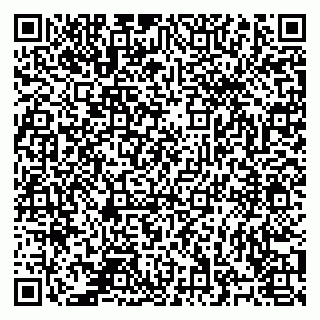 vCard 78127404384