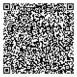 vCard 78127404387