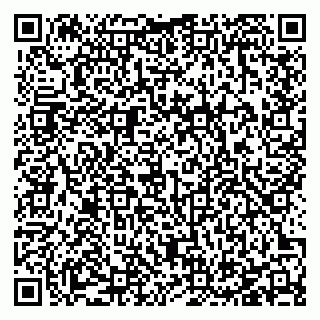 vCard 78127404399