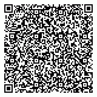 vCard 78127405393