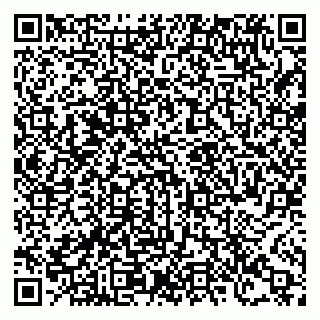 vCard 78127409072