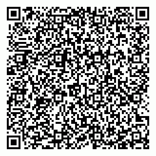 vCard 78127409130