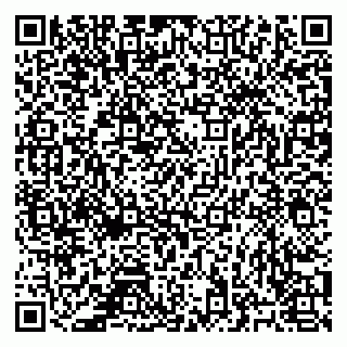 vCard 78127409374