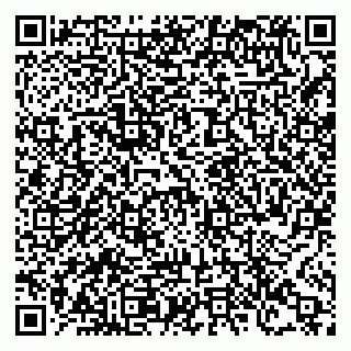 vCard 78127409379