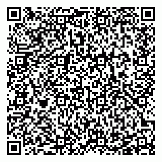 vCard 78127480811