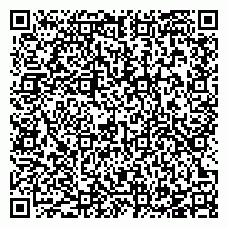vCard 78127705300