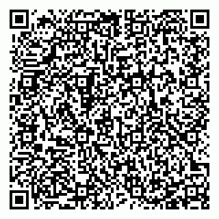 vCard 78127710001