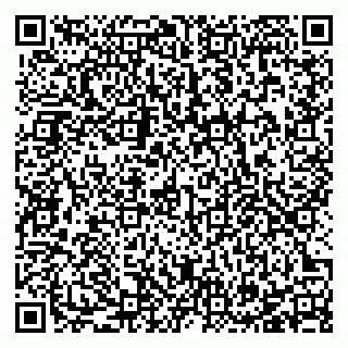 vCard 78127752100