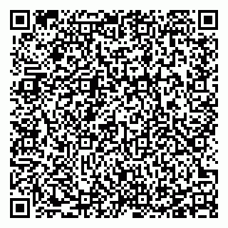 vCard 78127774331