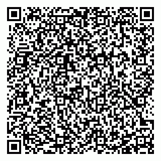 vCard 78127775039