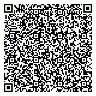 vCard 78127775041