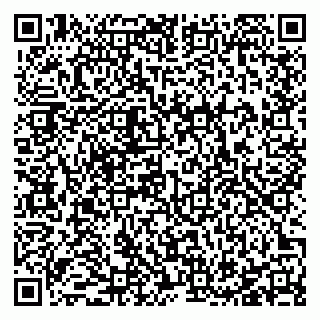 vCard 78127900163