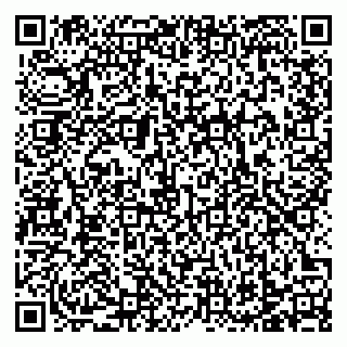 vCard 78129700291